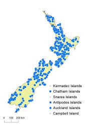 Blechnum fluviatile distribution map based on databased records at AK, CHR & WELT.
 Image: K.Boardman © Landcare Research 2020 CC BY 4.0